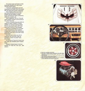 1976 Pontiac Firebird-04.jpg